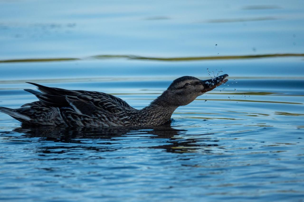 Golden Eye Seaside Park Kolberg