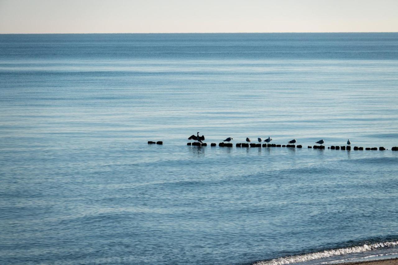 Golden Eye Seaside Park *